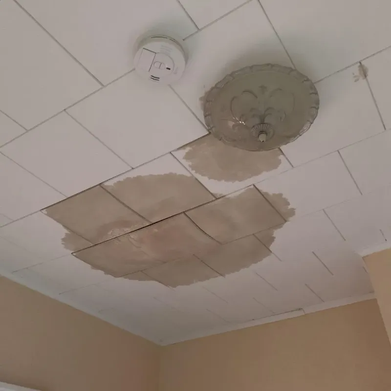 Ceiling Water Damage Repair in Mystic, CT