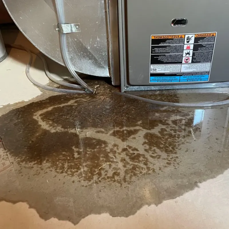 Pipe Burst and Leak Restoration in Mystic, CT